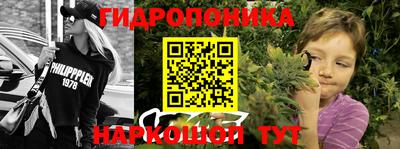 молекула духа Ликино-Дулёво